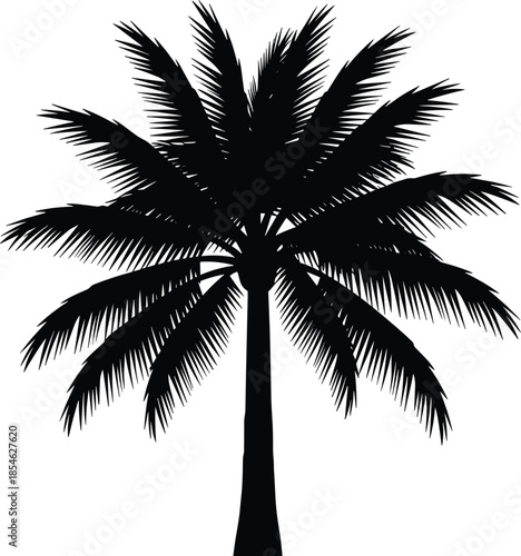 Palm tree silhouette vector illustration, black tropical summer nature symbol isolated on white background for beach travel design projects