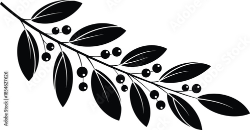 Olive branch silhouette vector illustration, black botanical twig with berries isolated on white background for natural decorative design projects
