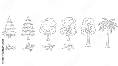 Minimal monochrome tree and branch line art set showing multiple species and icons