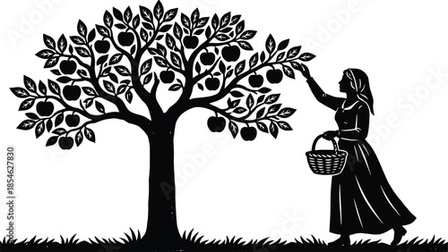 Woman, picking, apples, from, tree, silhouette, vector, illustration, black, orchard, harvest, basket, nature, farming, rural, garden, autumn, fruit, agriculture, design