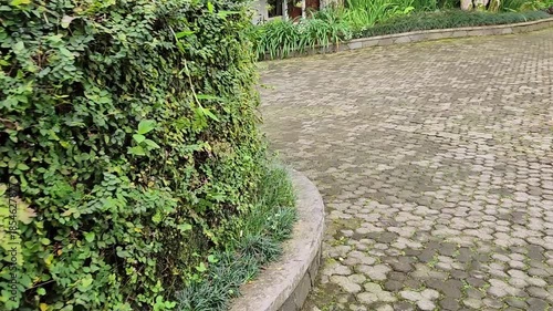 Walkway path with curved stone pavement and green surrounding plants. Paved path with curve and lush greenery along the roadside. Nature-filled walkway with stones and curved path in the garden.