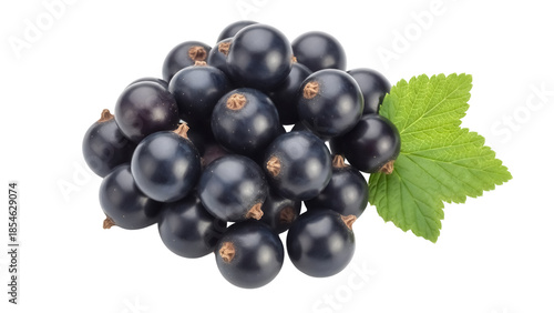 Fotografia Heap of fresh blackcurrants with green leaf isolated PNG, juicy dark berries for