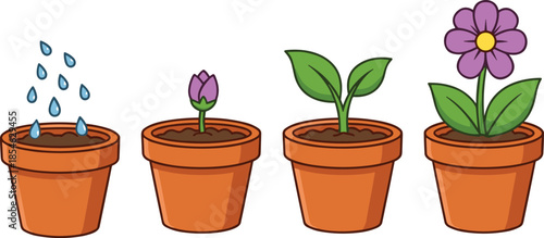 Four Stages of Plant Growth in Terracotta Pots from Watering to Flower Keywords: plant, growth, stages, pot, terracotta, flower
