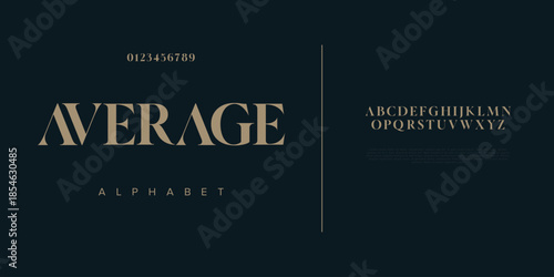 Elegant wedding alphabet letters font and number. Typography luxury classic lettering serif fonts decorative vintage retro concept. vector illustration