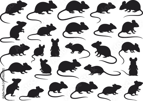 Mouse and rat silhouettes collection isolated black rodents set animal pest wildlife vector illustration design elements for stock use