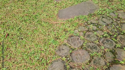 Stone Pathway Surrounded by Green Grass for Outdoor Landscapes. Lush Green Grass Along a Beautiful Stone Pathway for Gardens. Eco-Friendly Stone Pathway Leading Through Vibrant Green Grass.