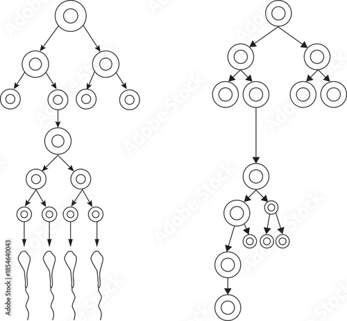 Spermatogenesis vector icon