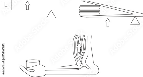 Third Class Lever vector icon