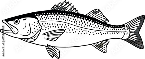 Empty vector file display