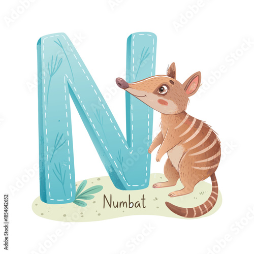 Numbat Animal Illustration with Letter N Alphabet