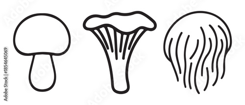 A collection of various outline style mushroom icons including generic, chanterelle, and lion's mane.