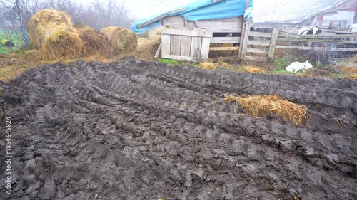 farm. image at an organic farm. detail. 4k video.