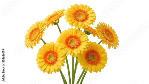 Cheerful yellow gerbera daisy bouquet isolated PNG on transparent background, vibrant floral arrangement for spring and summer designs