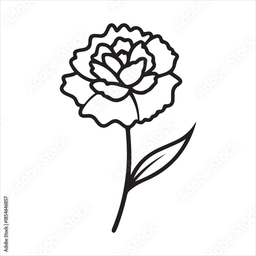 carnation line art vector illustration black and white