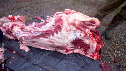 butcher cutting pork meat traditionally. 4k video.