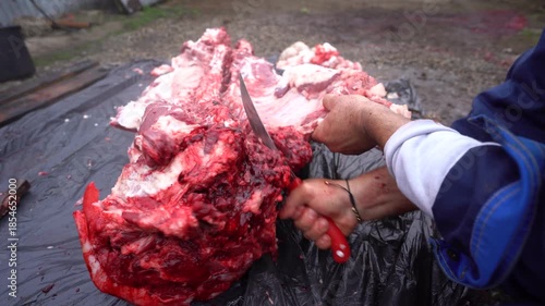 butcher cutting pork meat traditionally. 4k video.