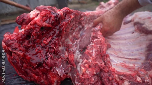 butcher cutting pork meat traditionally. 4k video.