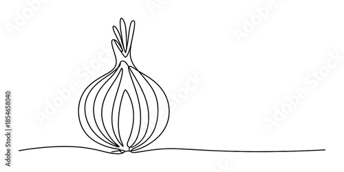 Minimalist single continuous line drawing of an onion vegetable on a white background Vector, illustration