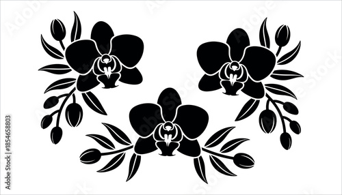 Black silhouette orchids with leaves on white background flower