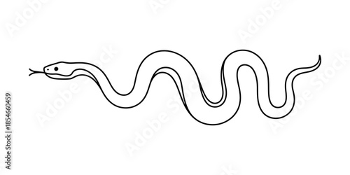 A minimalist black and white outline drawing of a serpentine snake on a plain background Vector, illustration