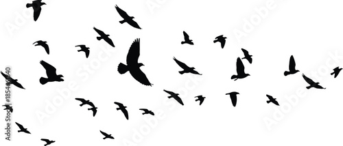 Bird silhouette illustration, flying flock design, black avian shapes, migration concept, nature movement art, group flight pattern