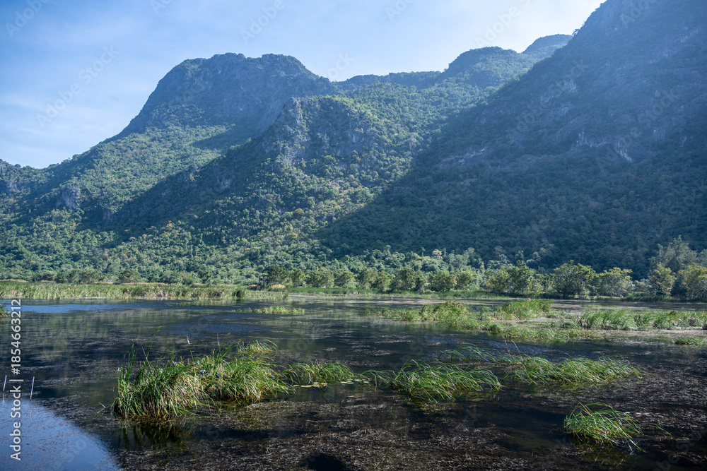 Fototapeta premium A national park in the swamps for birdwatching in the Hua Hin area of ​​Thailand.
