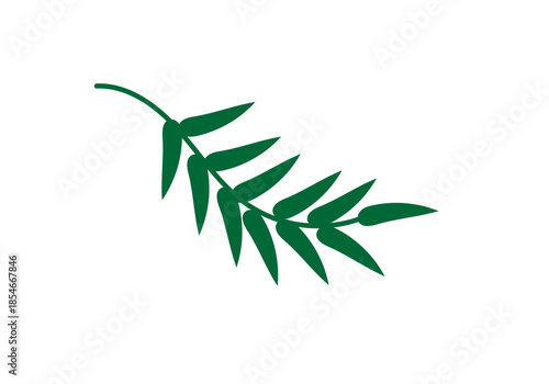 a green delicate branch on a white background, isolated