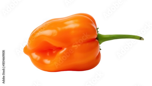 Tableau sur toile Vibrant orange habanero pepper isolated PNG, hot chili pepper on transparent bac