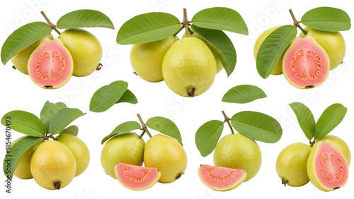 guava collection with leaves isolated on white or transparent