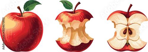 Red Apple Whole Eaten and Core with Seeds on White Background Keywords: apple, red, fruit, whole, eaten, bite marks, core, seeds
