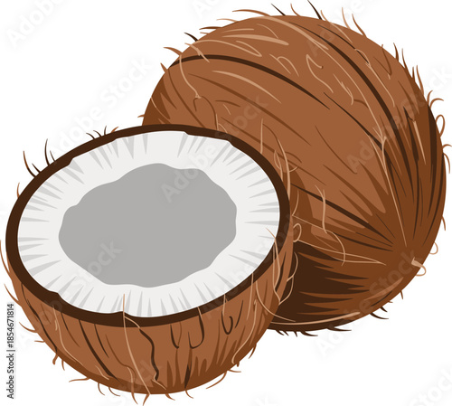 Whole coconut and a halved coconut showing white flesh and brown fibrous shell fruit tropical