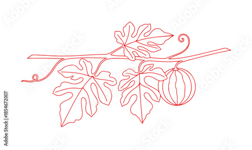 A clean and simple doodle of a watermelon branch and leaves, designed with a minimalist single-line technique for all kinds of designs.

