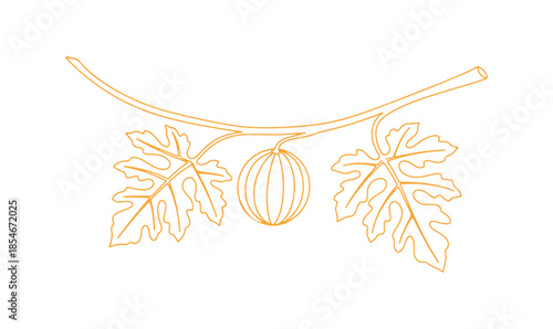 A clean and simple doodle of a watermelon branch and leaves, designed with a minimalist single-line technique for all kinds of designs.