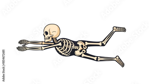 Creative illustration of a skeletal figure swimming with outstretched arms and legs, capturing a whimsical motion