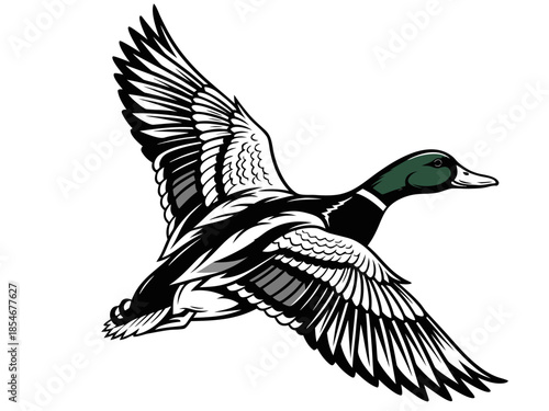 Vector illustration of a mallard duck in flight over a serene lake, captured from a high viewpoint.