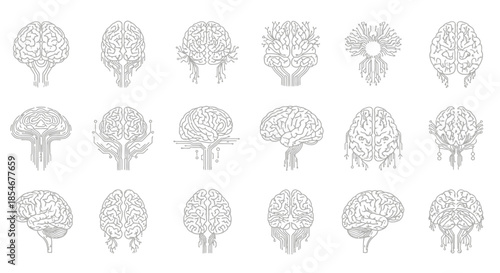 Collection of detailed brain illustrations