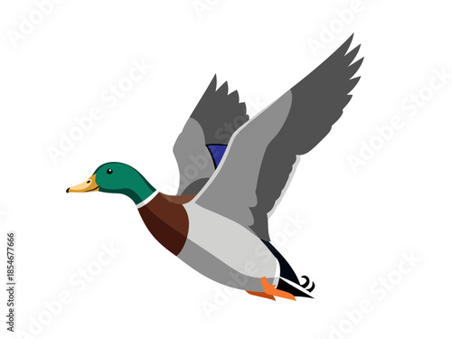 Foto Vector illustration of a duck in flight, showcasing its vibrant plumage and dyna