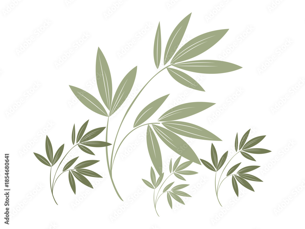 Fototapeta premium Minimal Botanical Leaf Branch Illustration: Hand-Drawn Foliage Vector