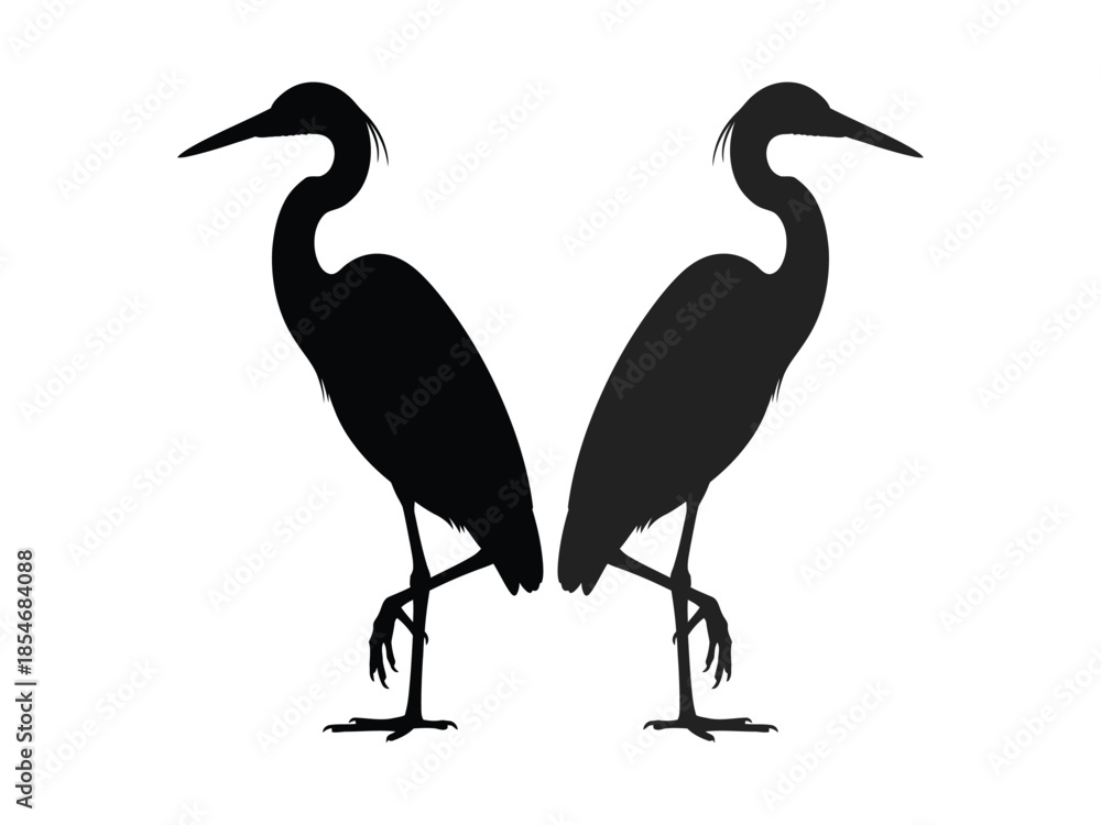 Obraz premium Silhouettes of two elegant herons standing gracefully in a natural setting