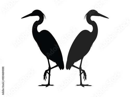 Silhouettes of two elegant herons standing gracefully in a natural setting