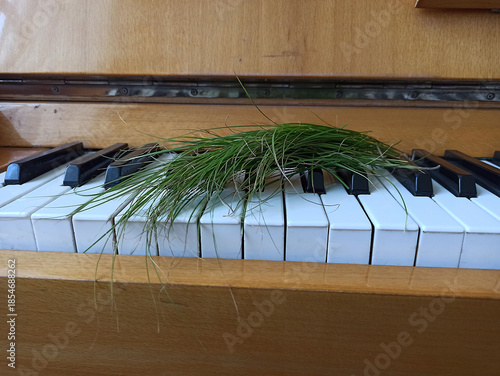 old abandoned piano close up