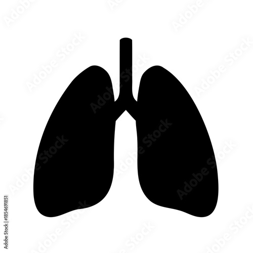 Silhouette representation of human lungs for medical or educational purposes