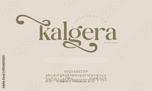 Elegant luxury alphabet font logo. Typography modern classic lettering serif italic fonts decorative wedding vintage retro logos. vector illustration