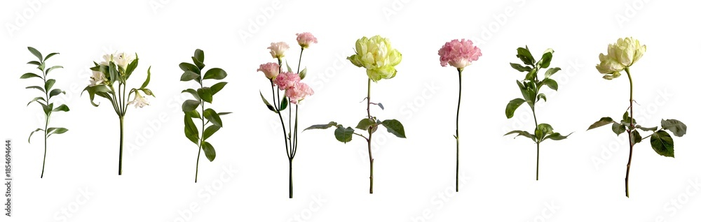 Obraz premium Botanical floral and greenery set on light beige background for bouquet composition and floral