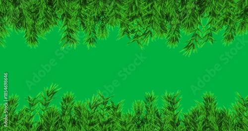 Animation of decoration with green fir tree branches on black background