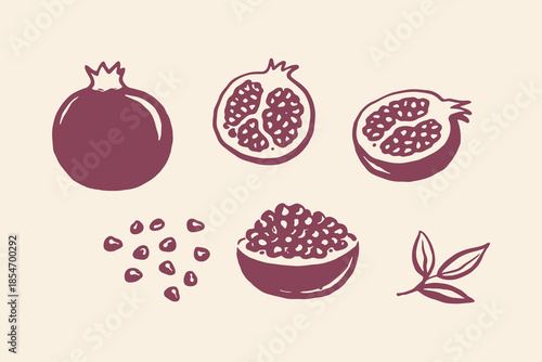 Pomegranate fruit doodle hand drawn sketch vector illustration