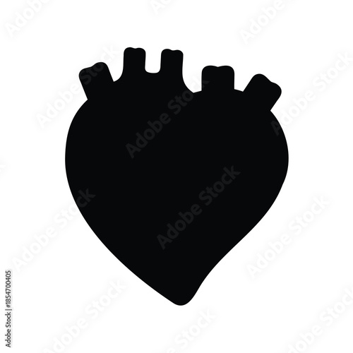 Stylized anatomical human heart in a black silhouette with white background