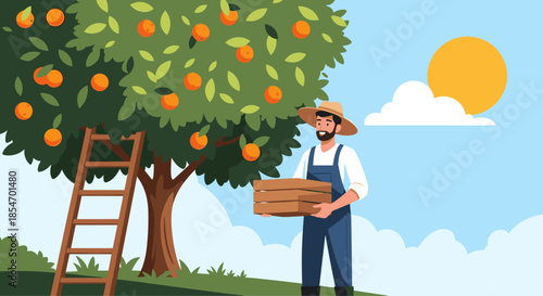 Male farmer with a beard wearing a straw hat and overalls picking fresh oranges from a tree into a crate.