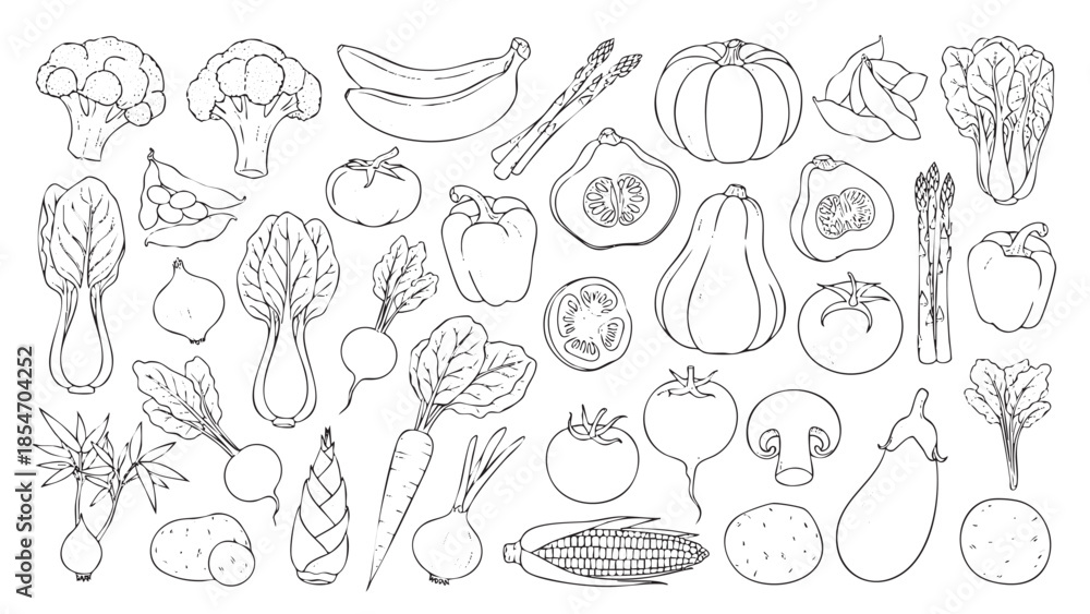 Obraz premium Set of hand drawn vegetable icons isolated on a white background for culinary menu design and organic food packaging projects.