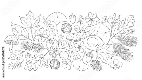 Autumnal Nature Elements Hand Drawn Sketch vector illustration